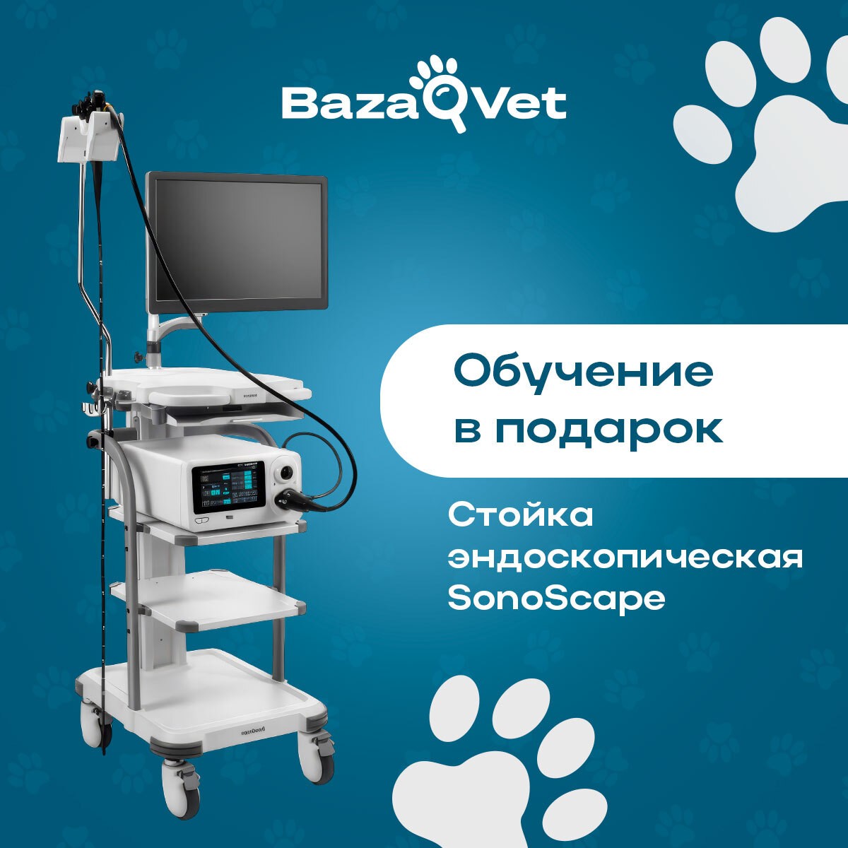 Обучение в подарок