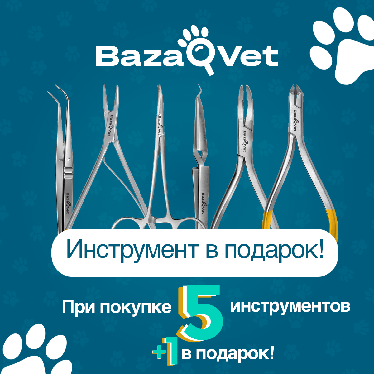 Обнови инструмент к сезону