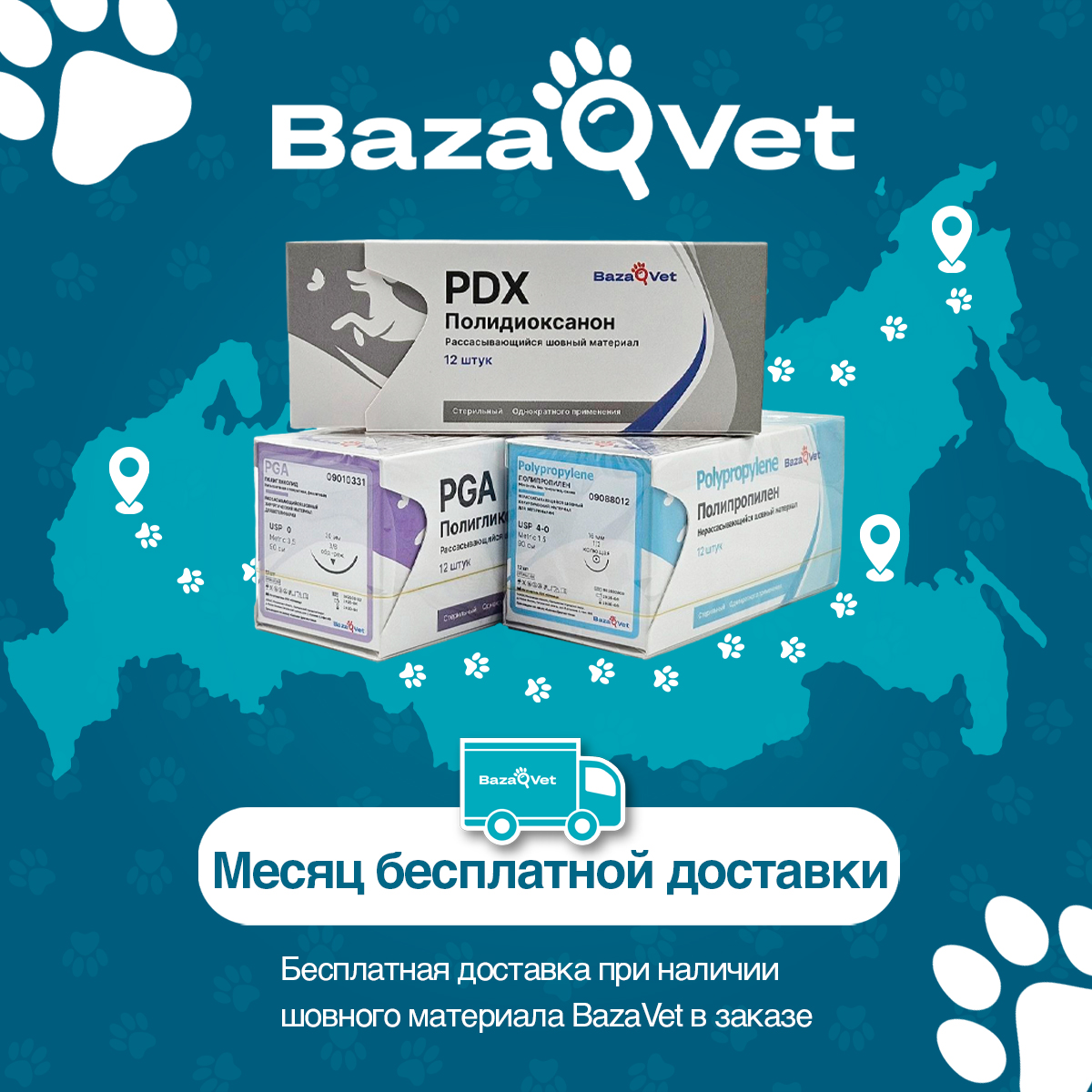 Месяц бесплатной доставки
