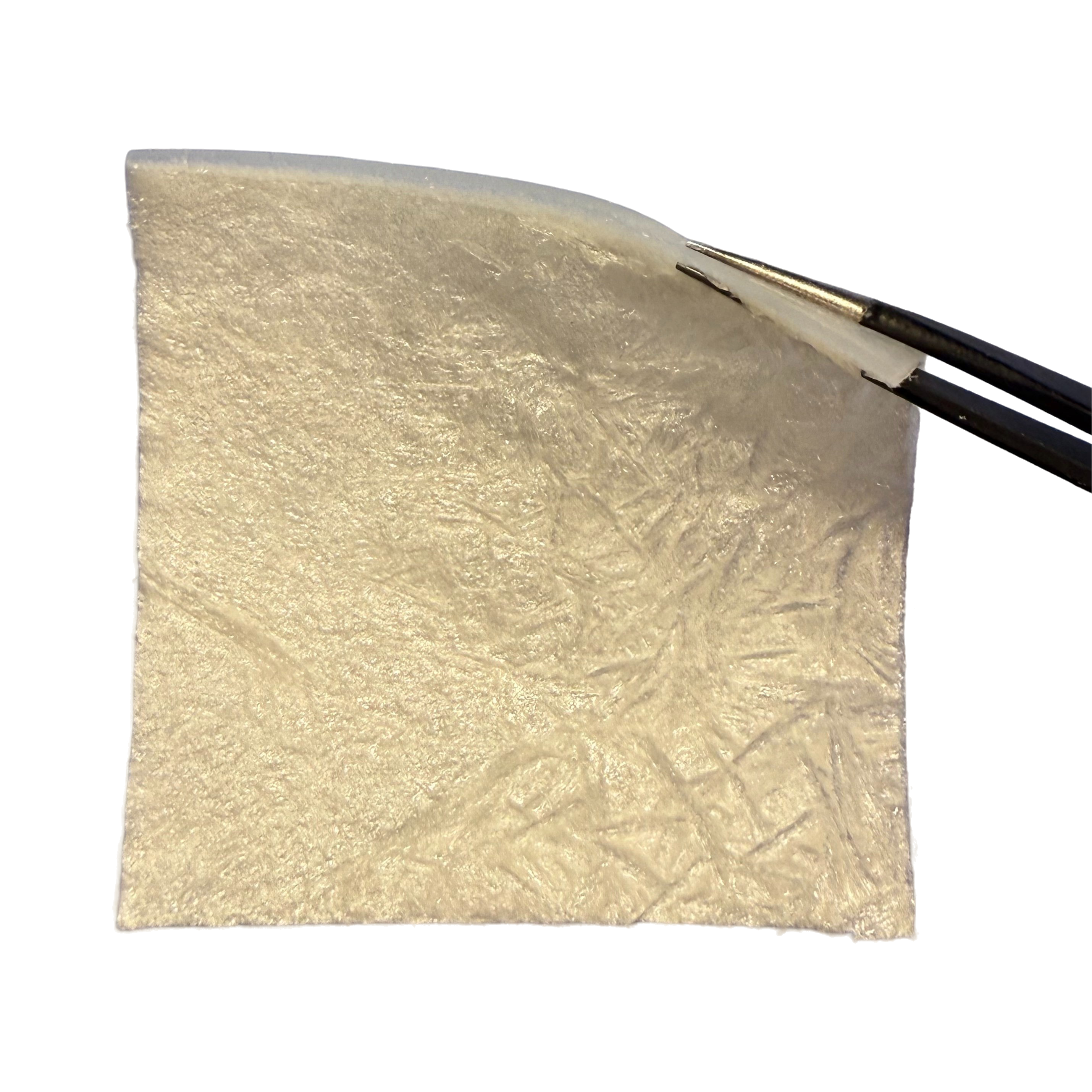 Композитная коллагеновая матрица ВЕЛИСТРА для ветеринарии