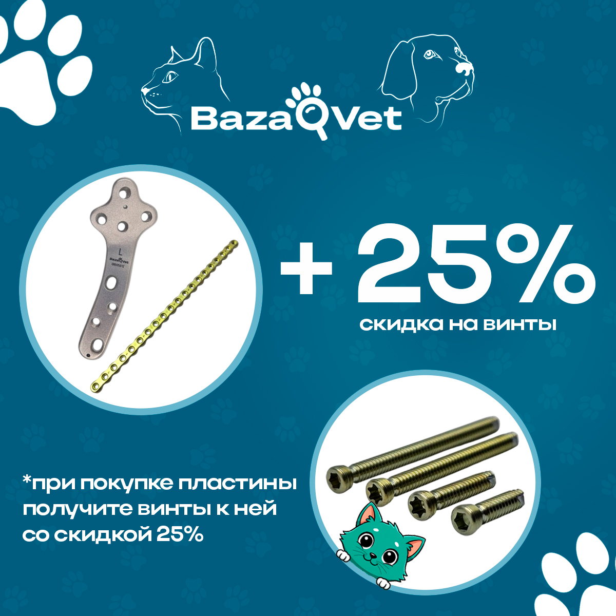 Скидка 25% на винты при покупке пластины
