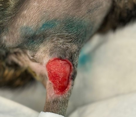 Обработка раны