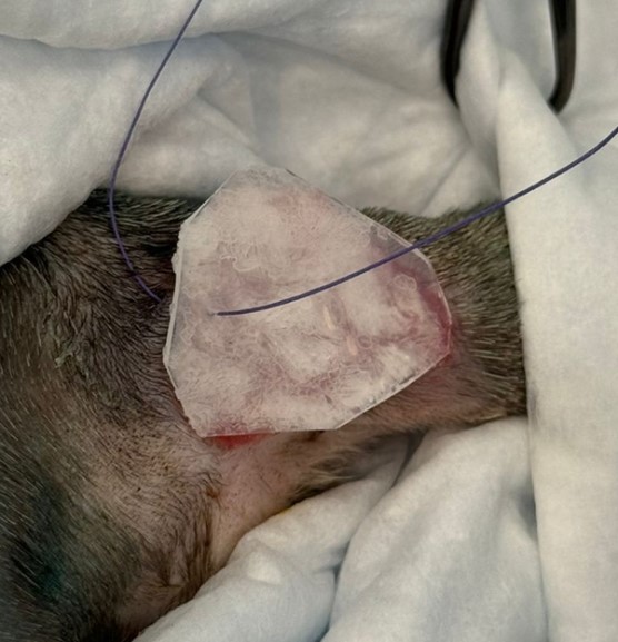 Наложение матрицы