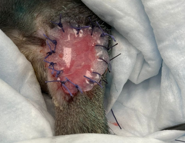 Наложение матрицы